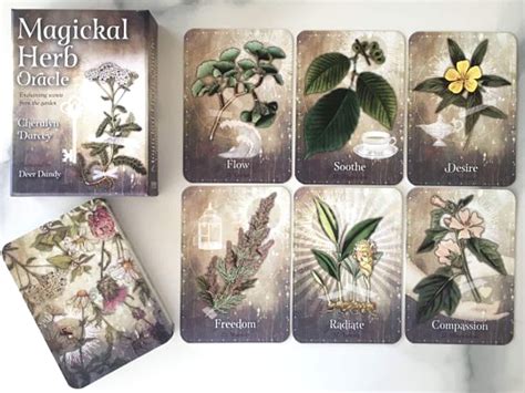 etsy oracle cards|oracle cards.